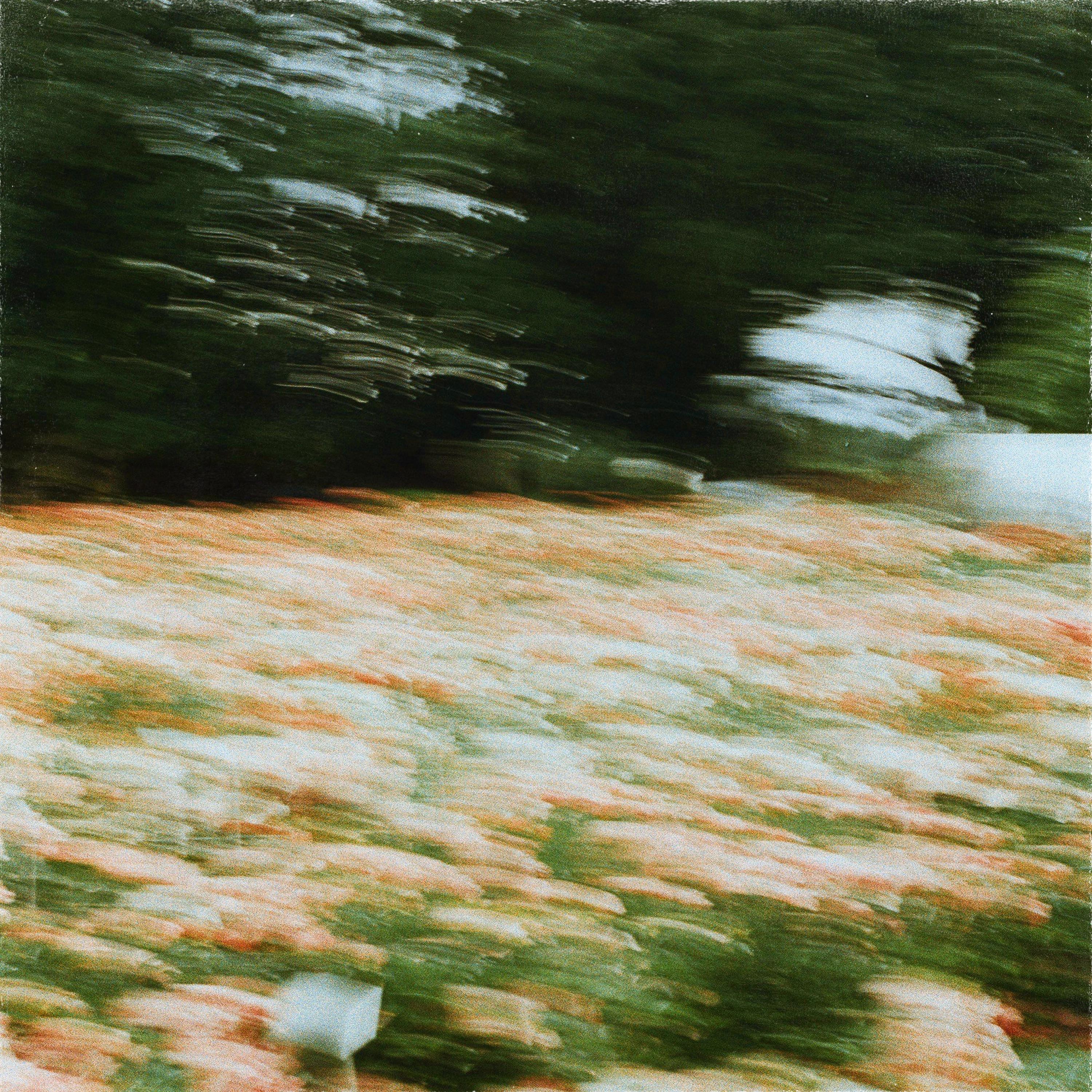 Changing Forest - Single album cover