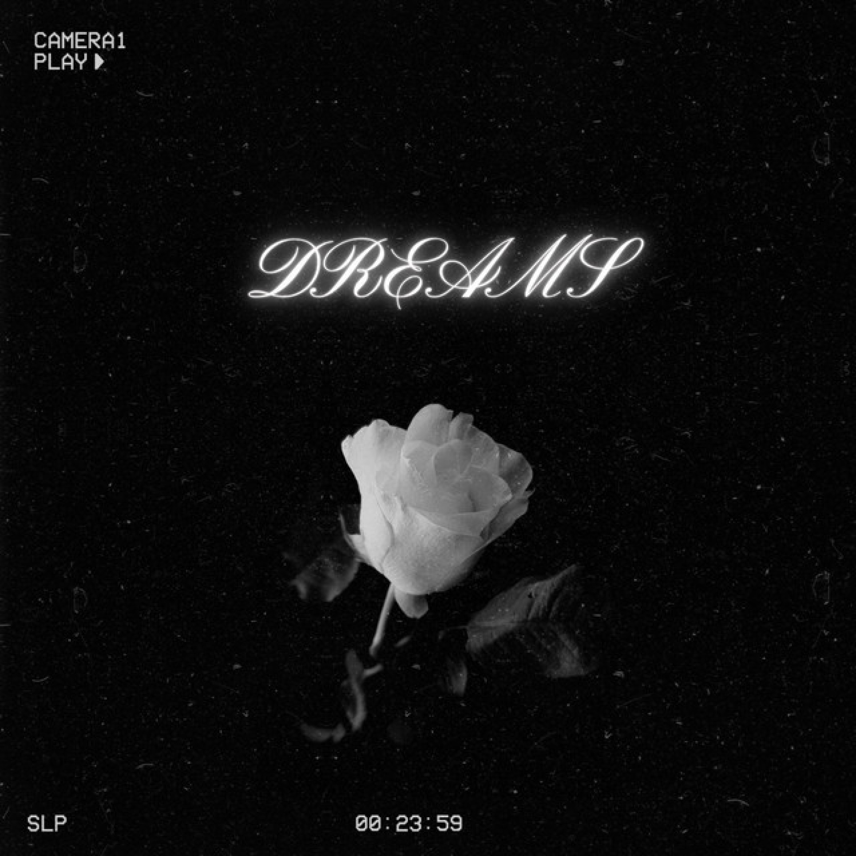 DREAMS (feat. Nicole) - Single album cover