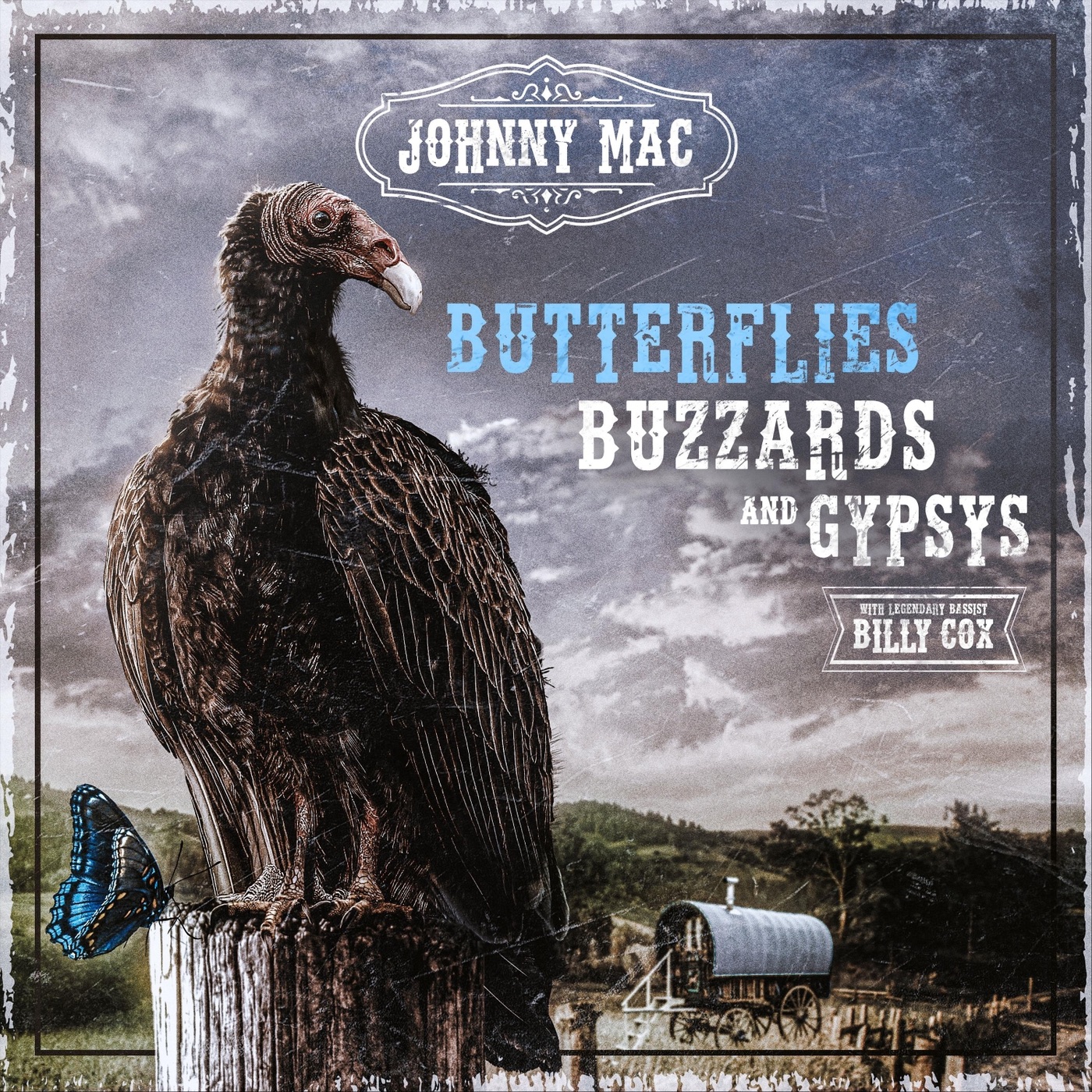 Butterflies, Buzzards & Gypsys album cover
