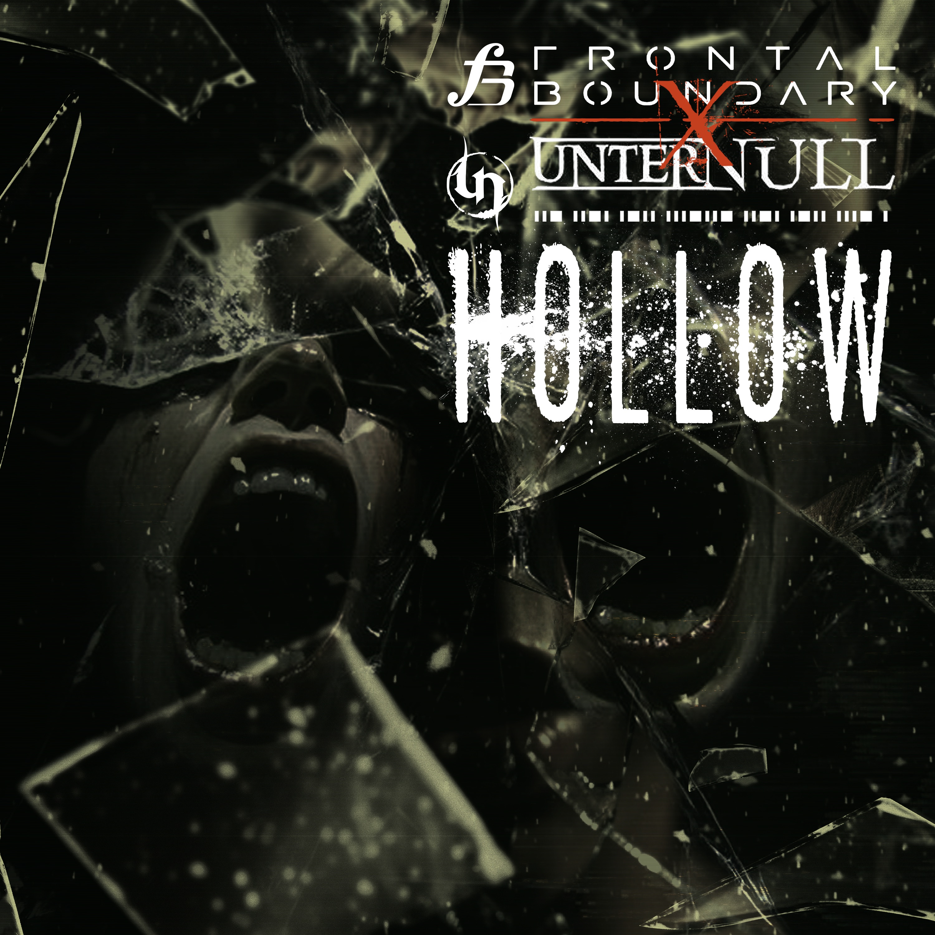 Hollow album cover