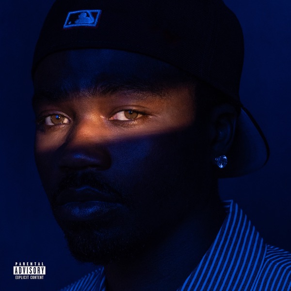 THE NAVY ALBUM album cover