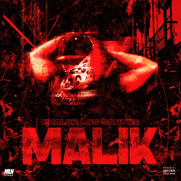 Malik - Single album cover