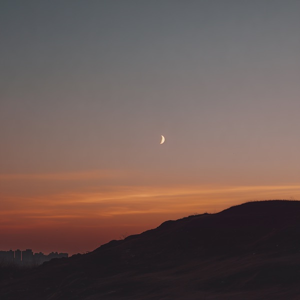looking back - Single album cover