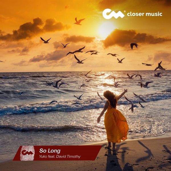 So Long (feat. David Timothy) - Single album cover