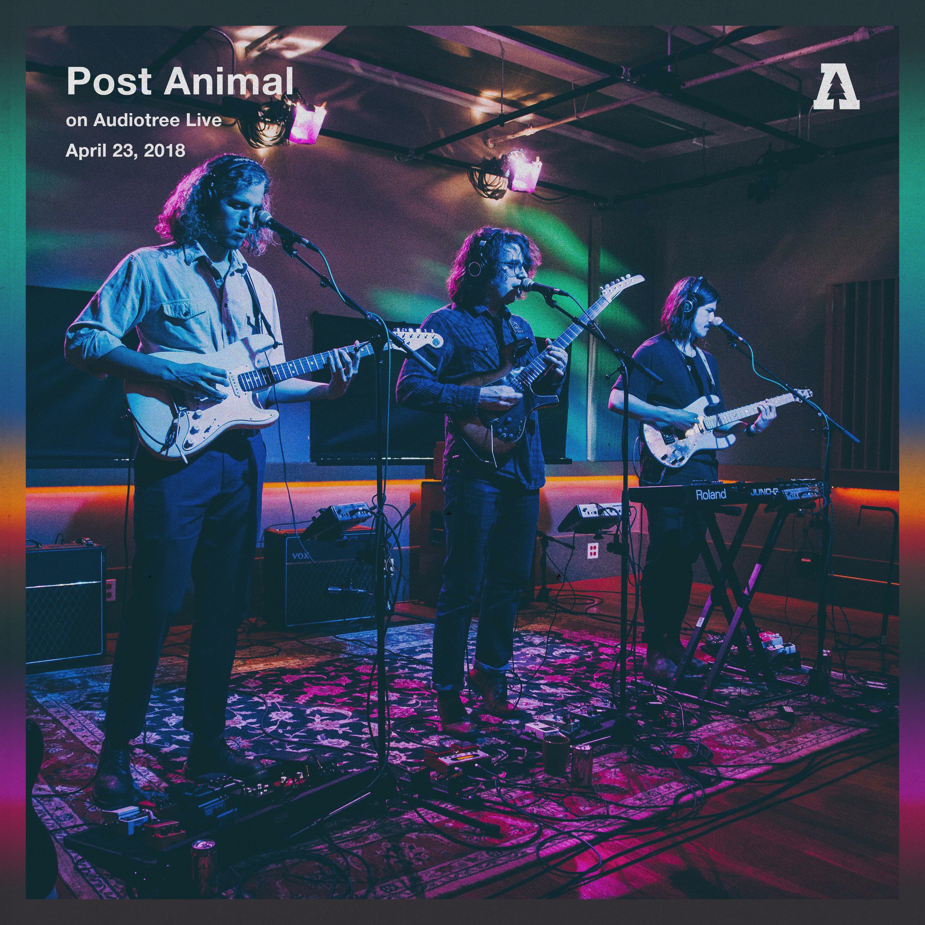 Post Animal (Audiotree Live) - EP album cover