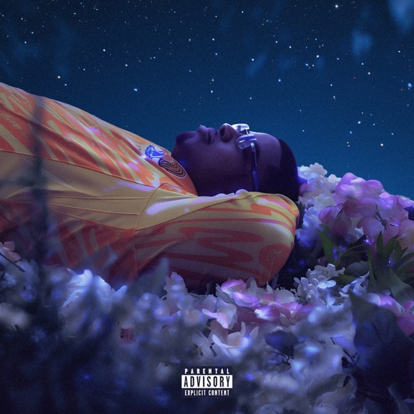 Never Box Me In album cover