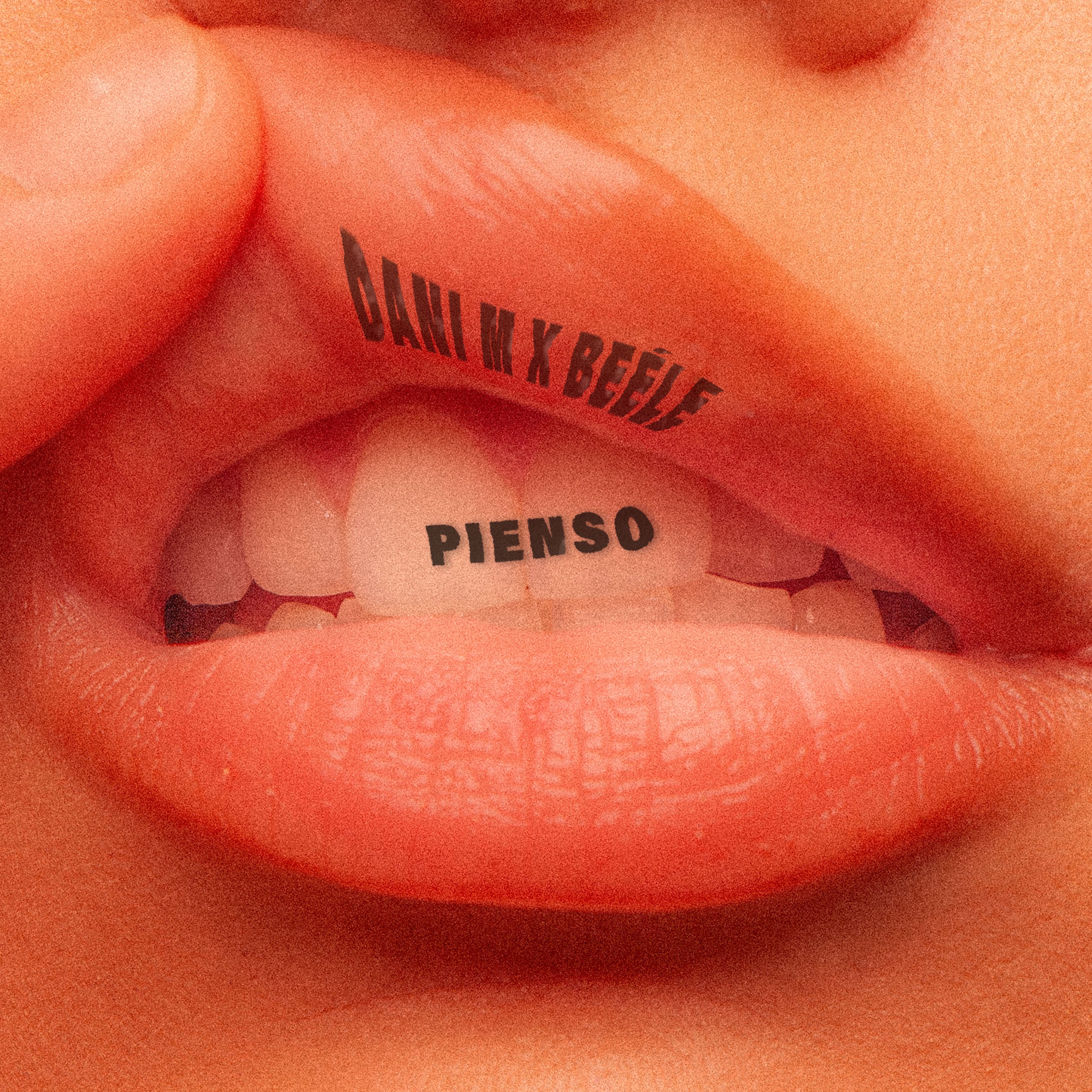 PIENSO - Single album cover
