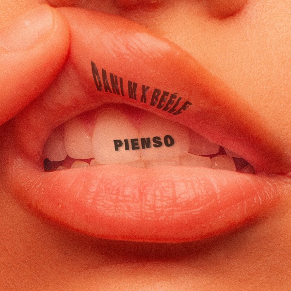 PIENSO - Single album cover