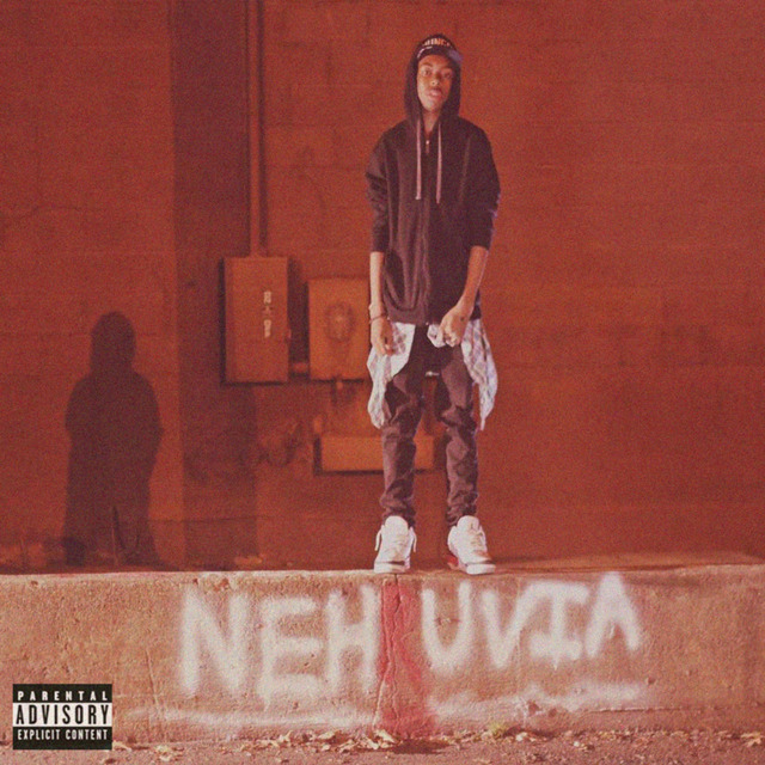 Nehruvia (Redux) album cover