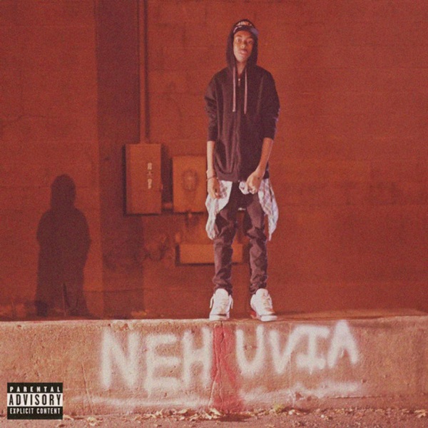 Nehruvia (Redux) album cover