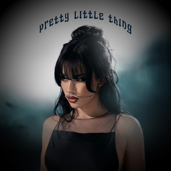 pretty little thing - Single album cover