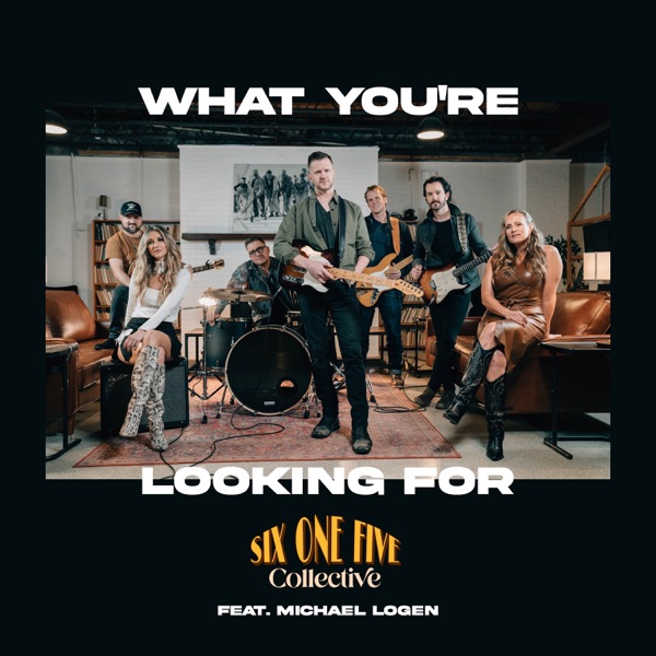 What You're Looking For (feat. Michael Logen) - Single album cover
