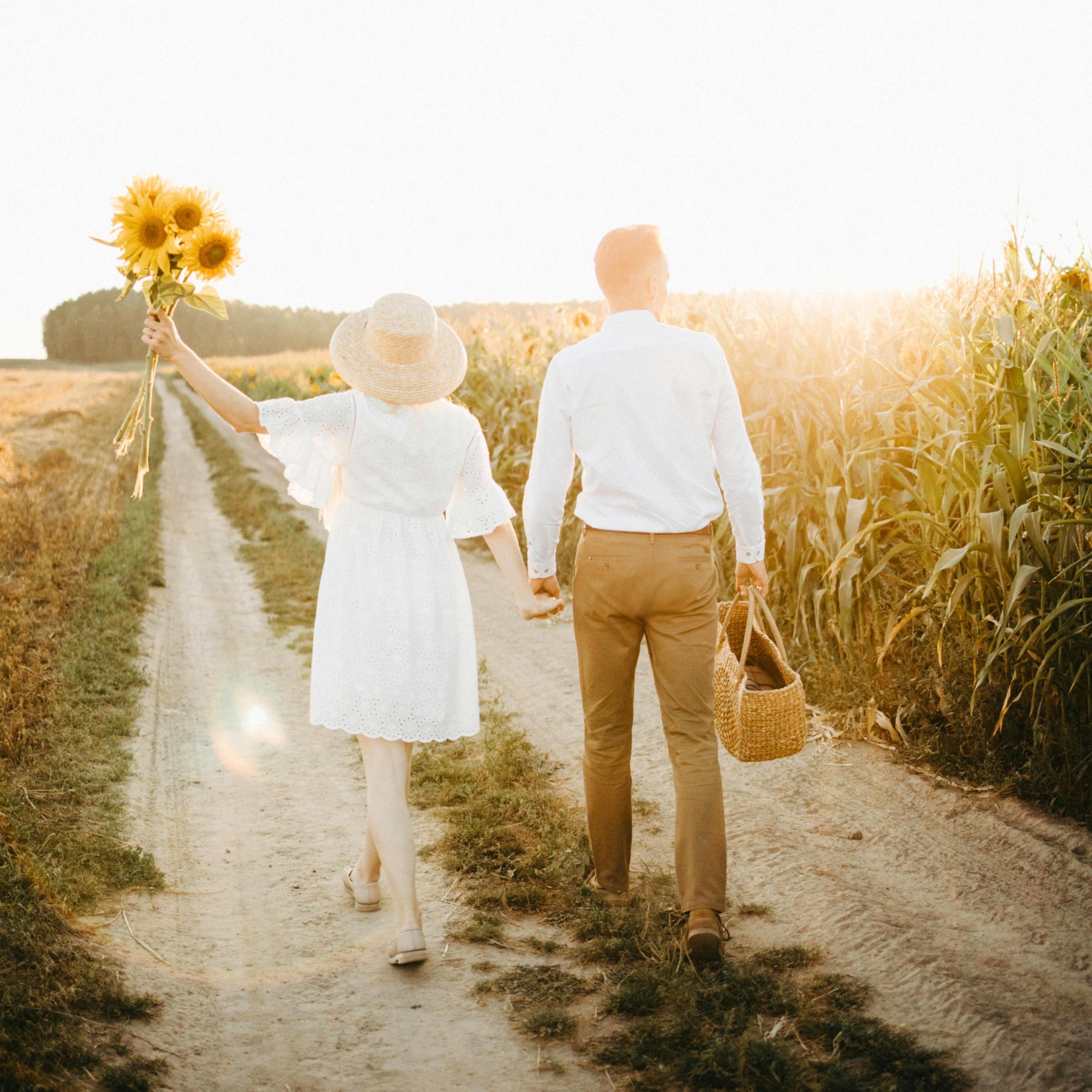 Daylight (Instrumental Piano Version) - Single album cover