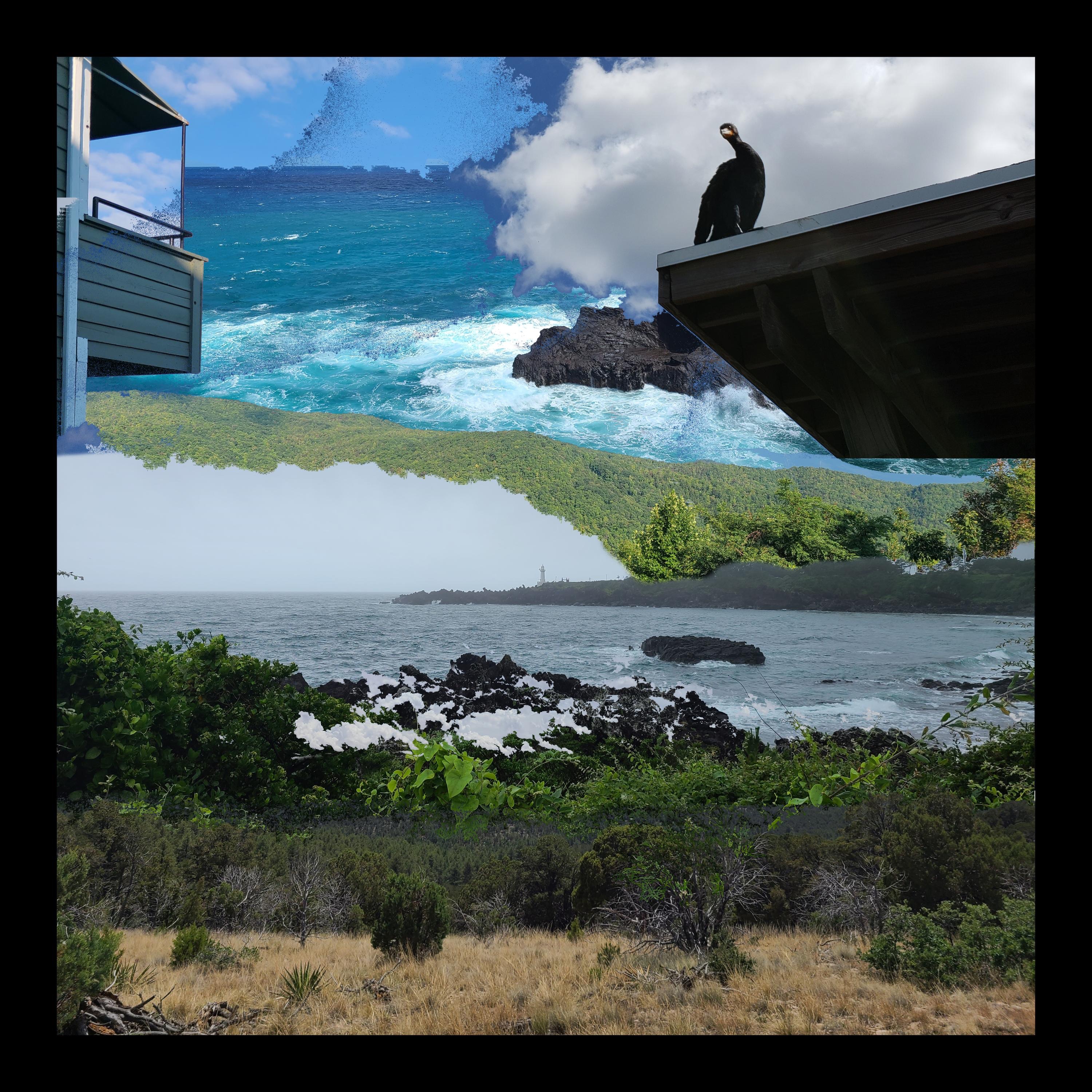 In Environment album cover
