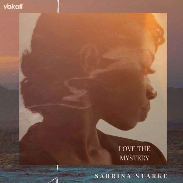 Love the Mystery - Single album cover