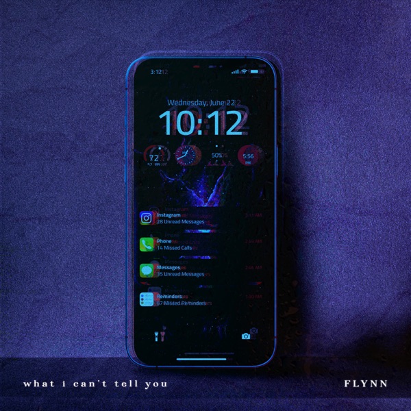 What i can't tell you - Single album cover