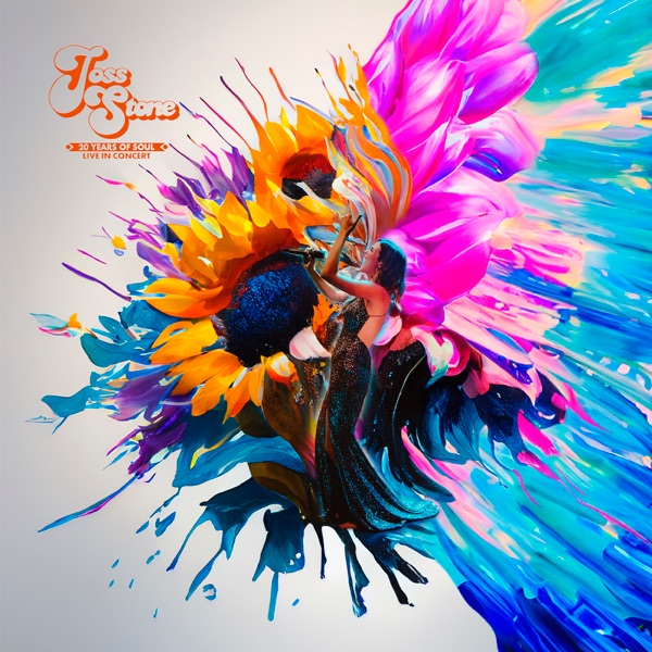 20 Years of Soul Live in Concert album cover