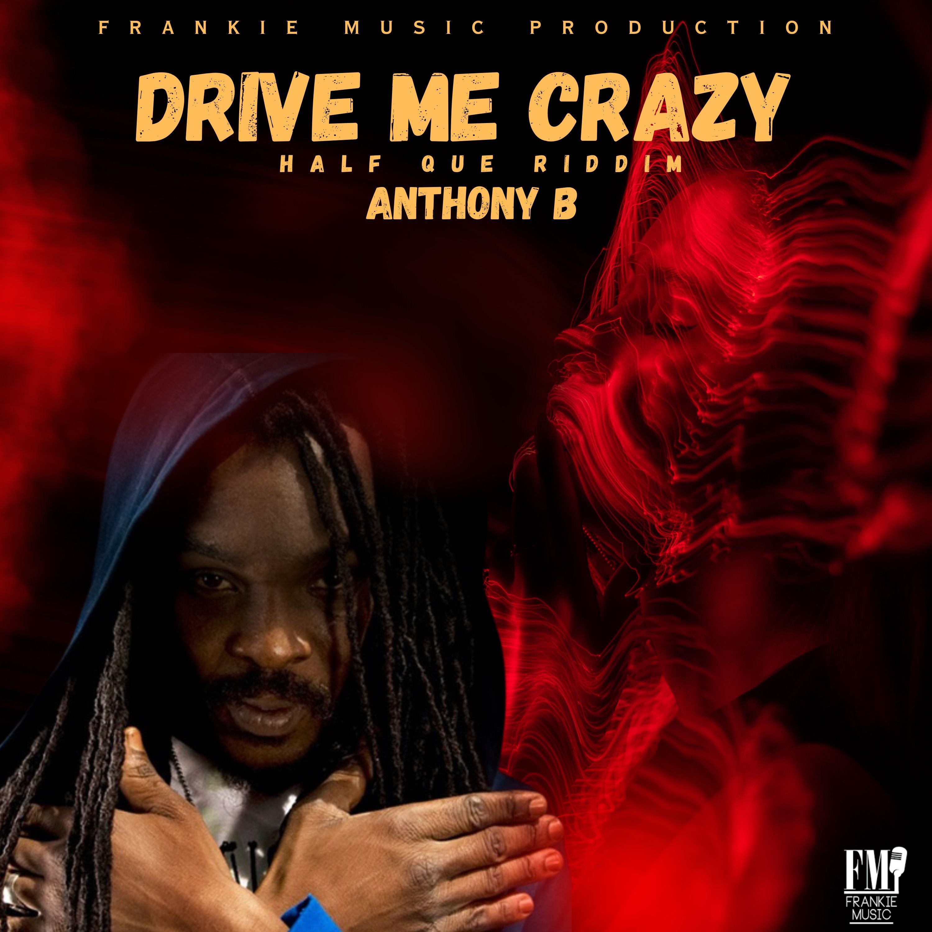 Drive Me Crazy - Single album cover