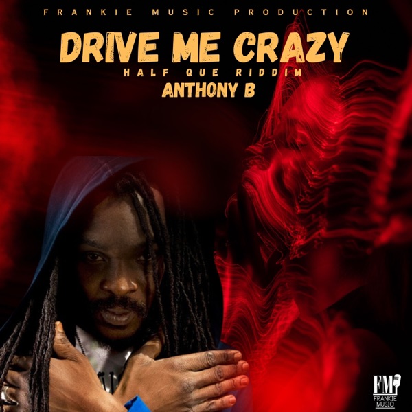 Drive Me Crazy - Single album cover