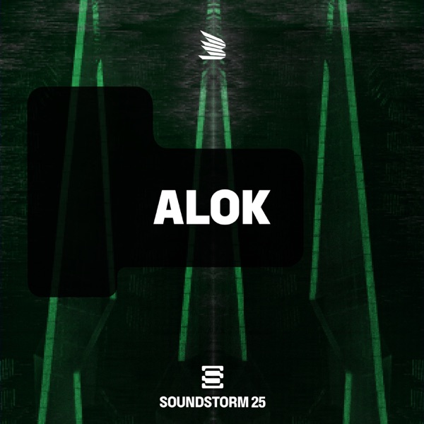 SOUNDSTORM: Alok, Dec 13, 2025 (DJ Mix) album cover