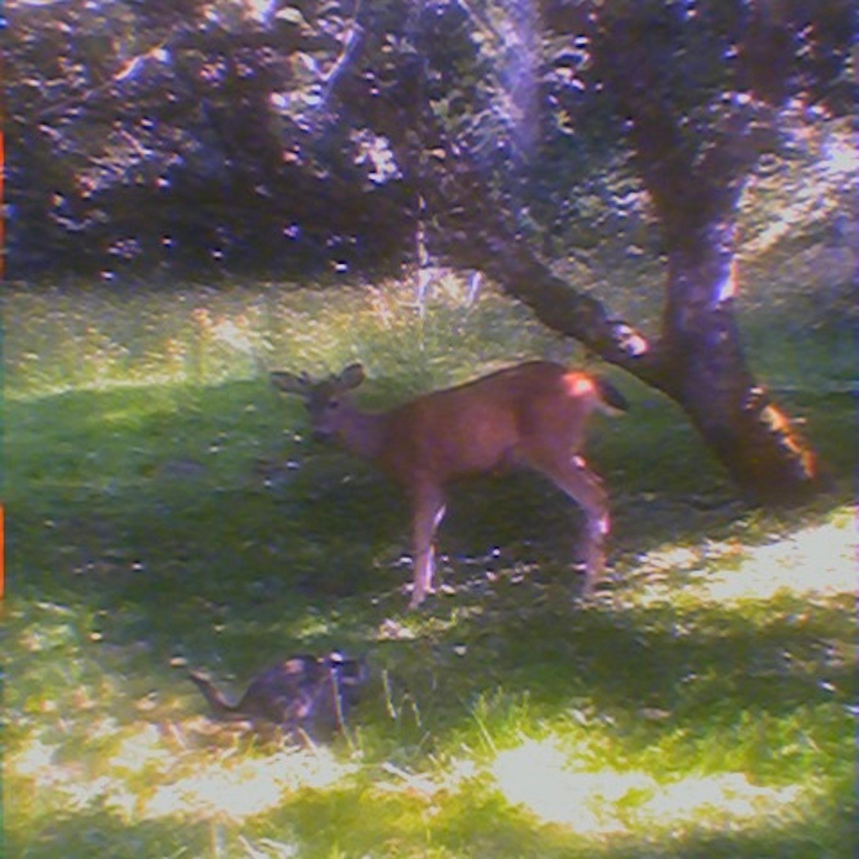 your best years - Single album cover