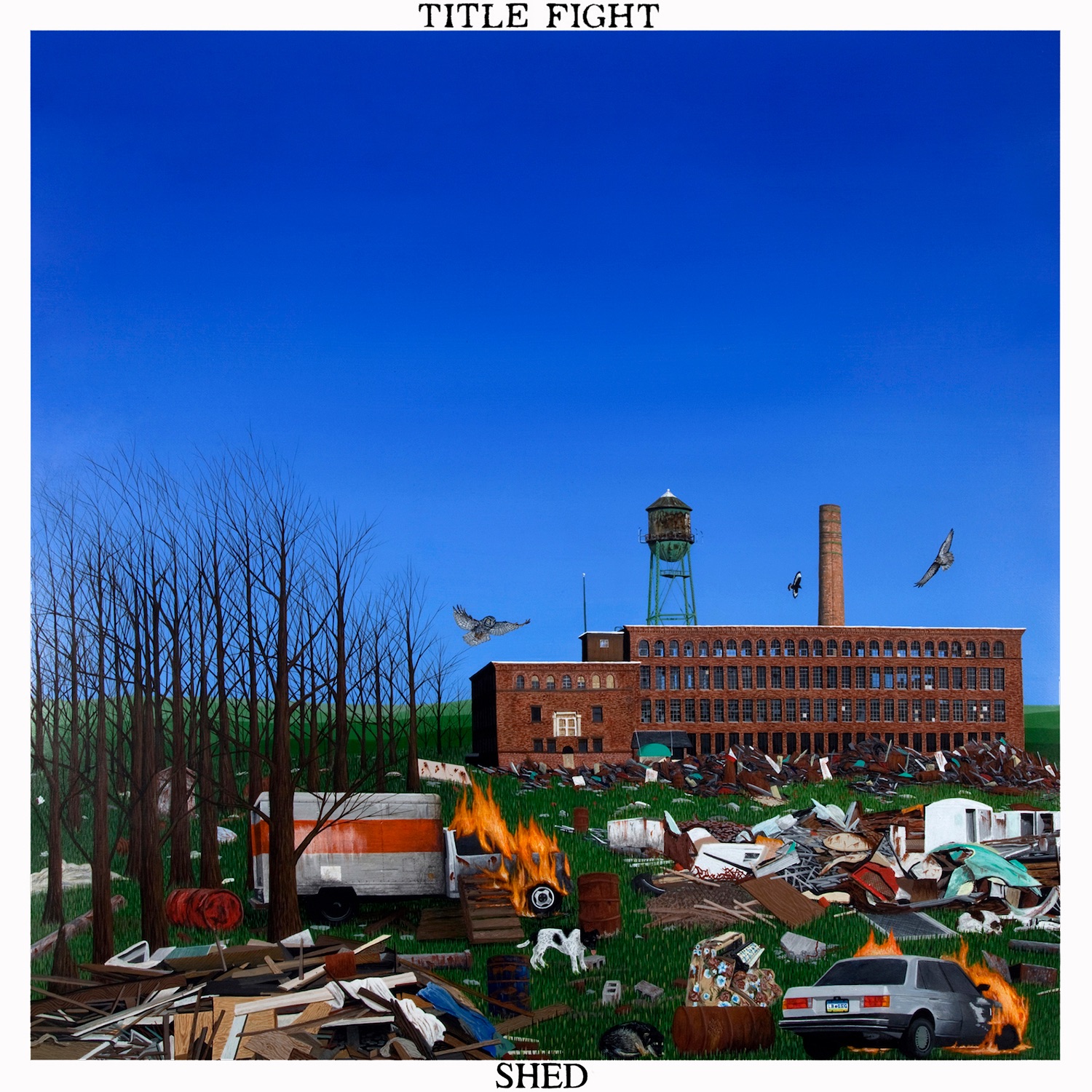 Shed album cover