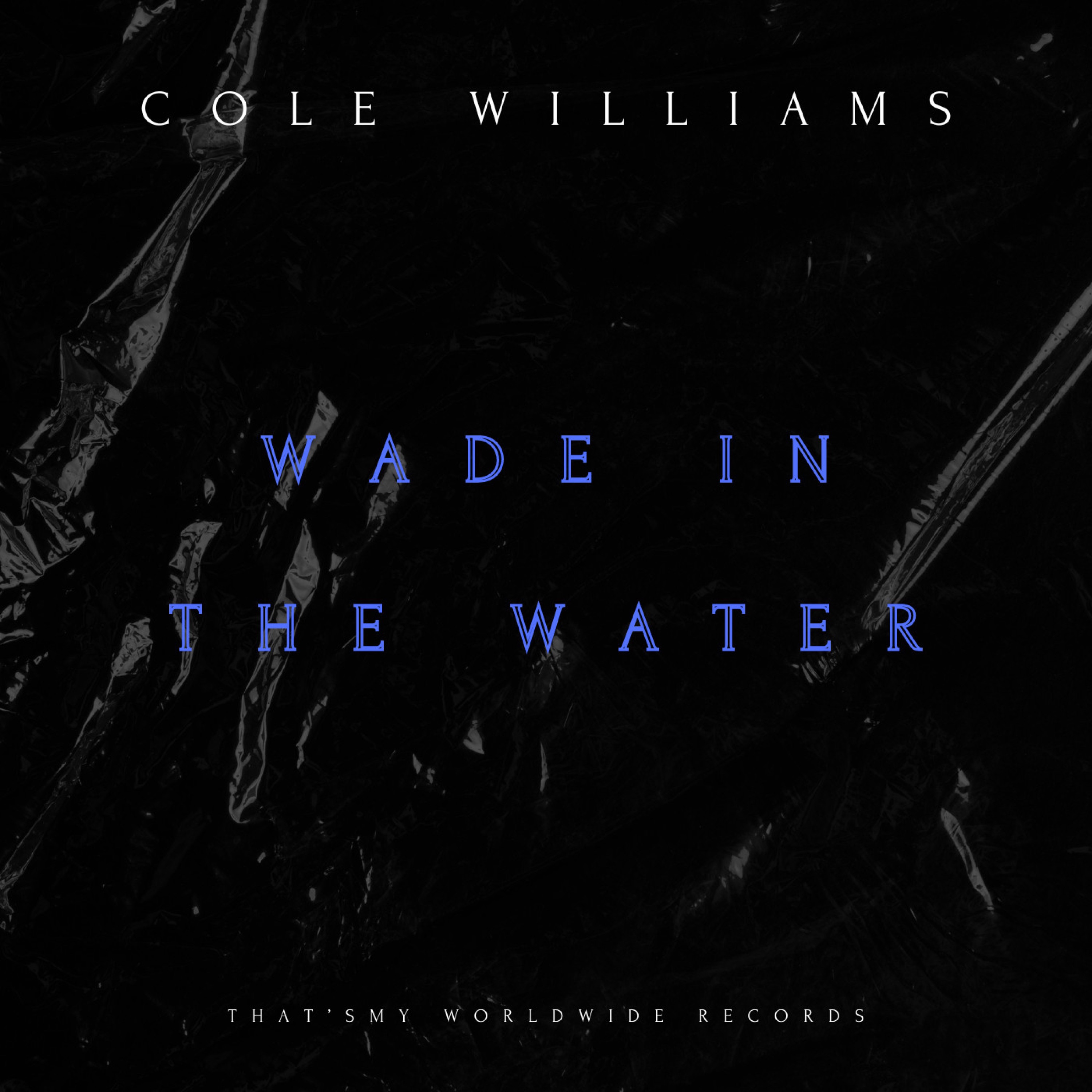 Wade In the Water - Single album cover