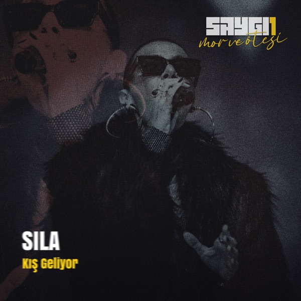 Kış Geliyor (SAYGI1, Remix) - Single album cover