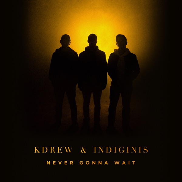 Never Gonna Wait - Single album cover