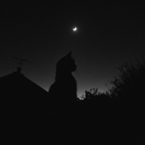 the night we met (Slowed) - Single album cover