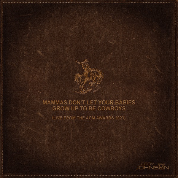 Mammas Don't Let Your Babies Grow Up To Be Cowboys (Live from the ACM Awards 2023) - Single album cover