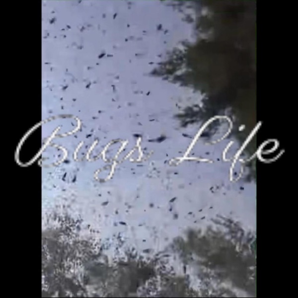 Bugs Life - Single album cover