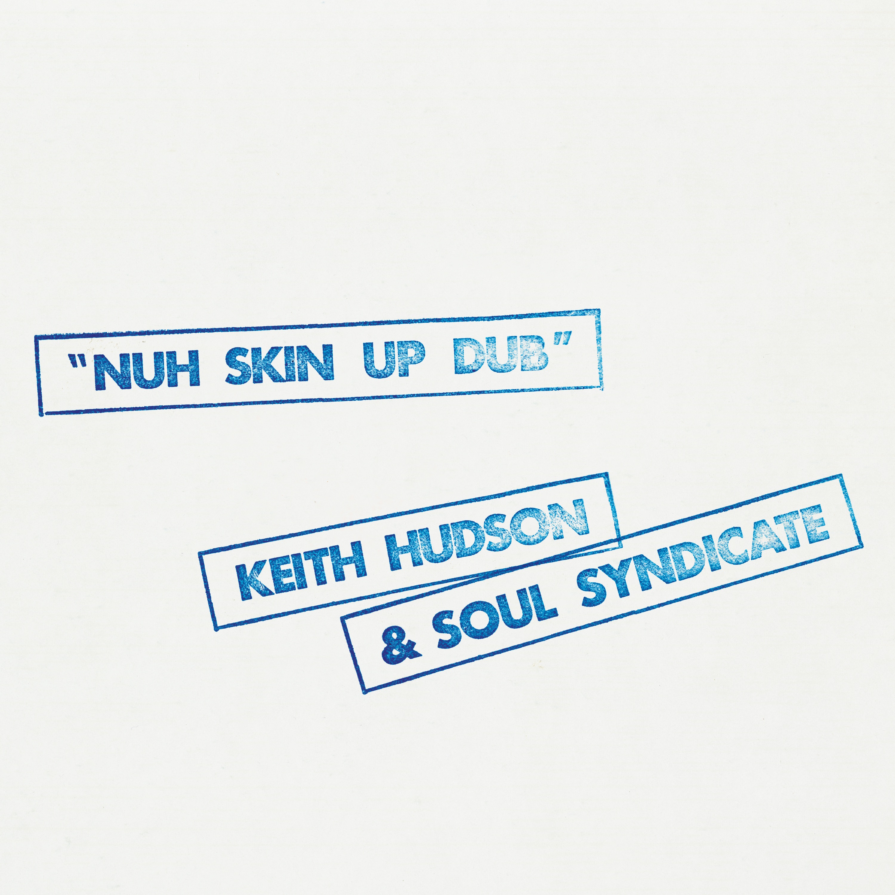 Nuh Skin Up Dub album cover