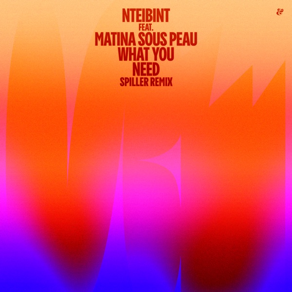 What You Need (feat. Matina Sous Peau) - Single album cover