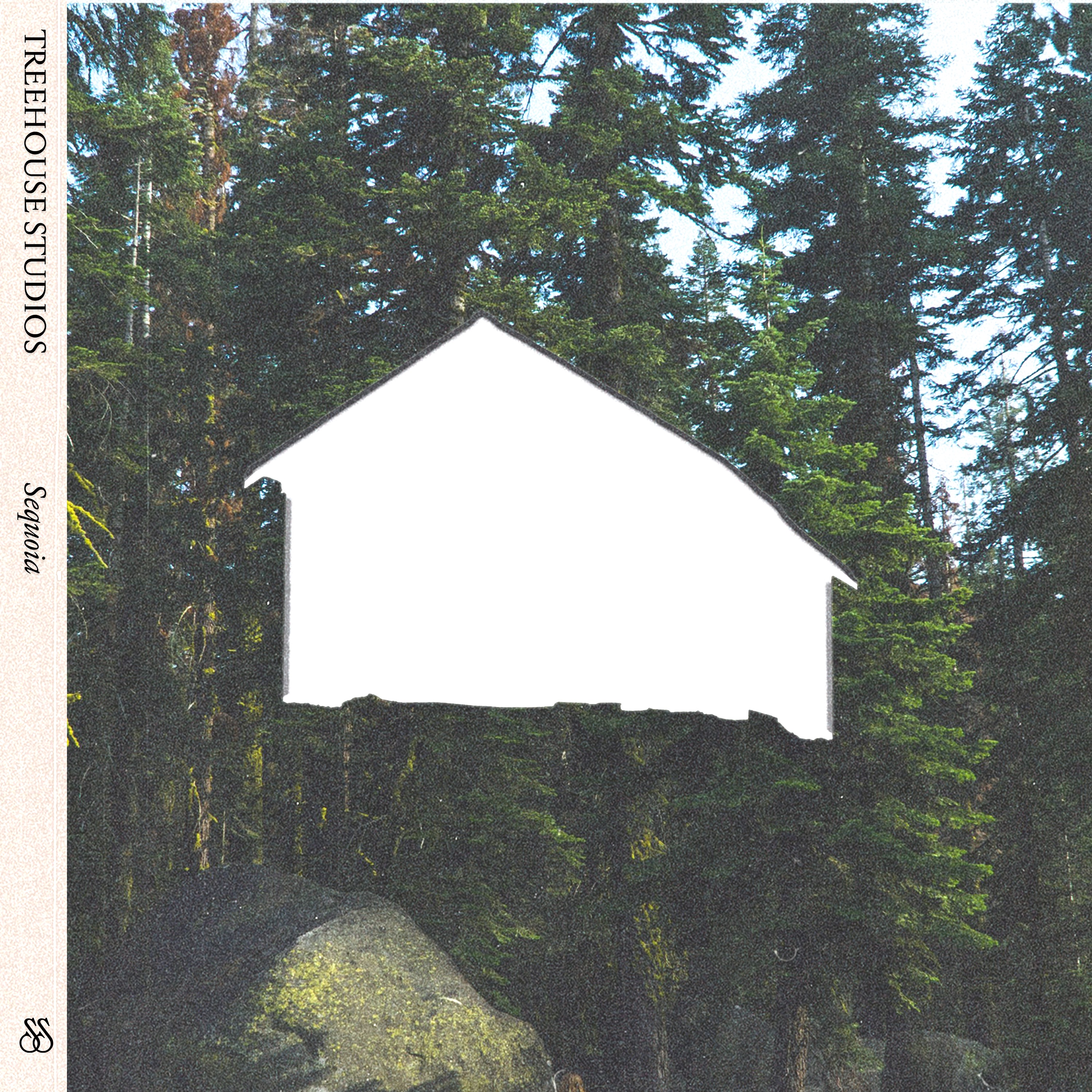 Sequoia album cover
