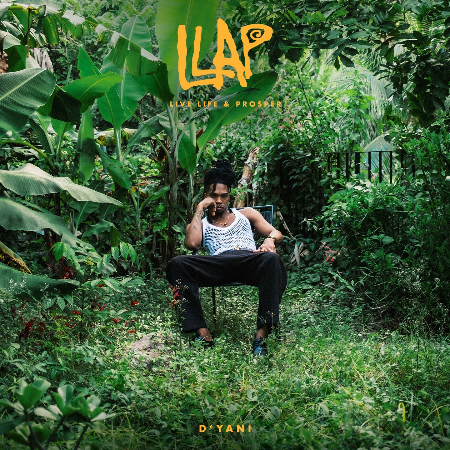 Live Life & Prosper album cover