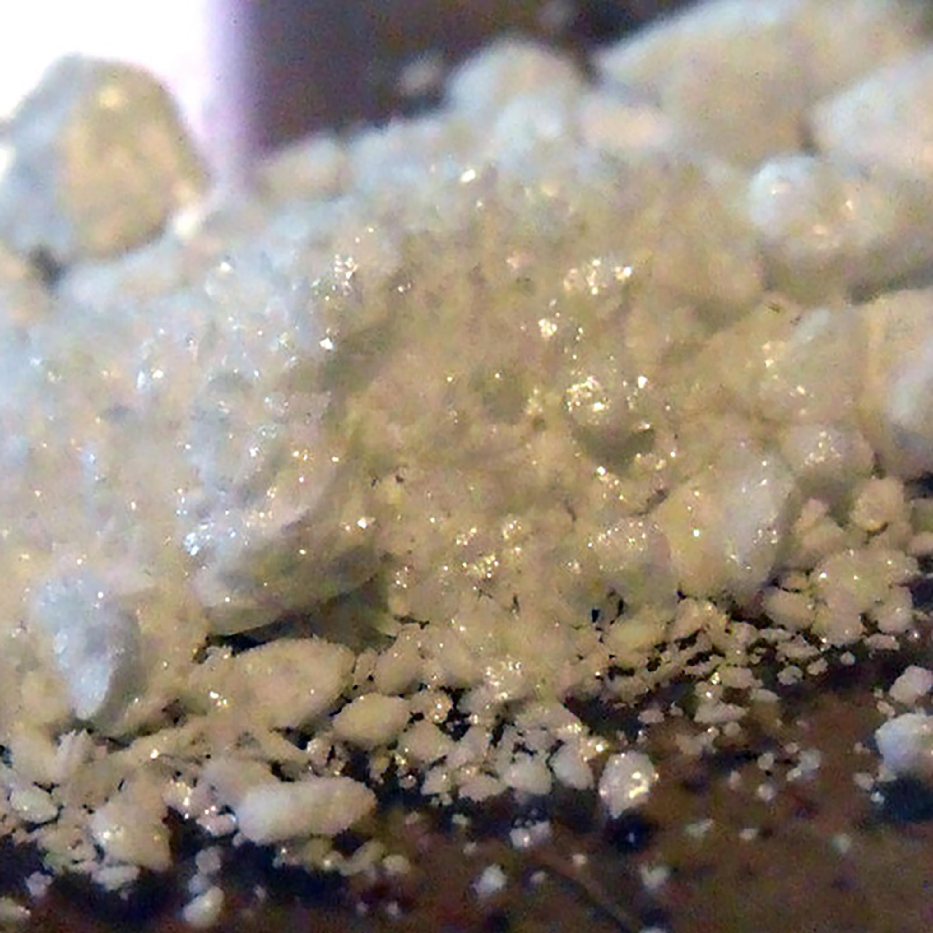 PO$hKRAKK album cover