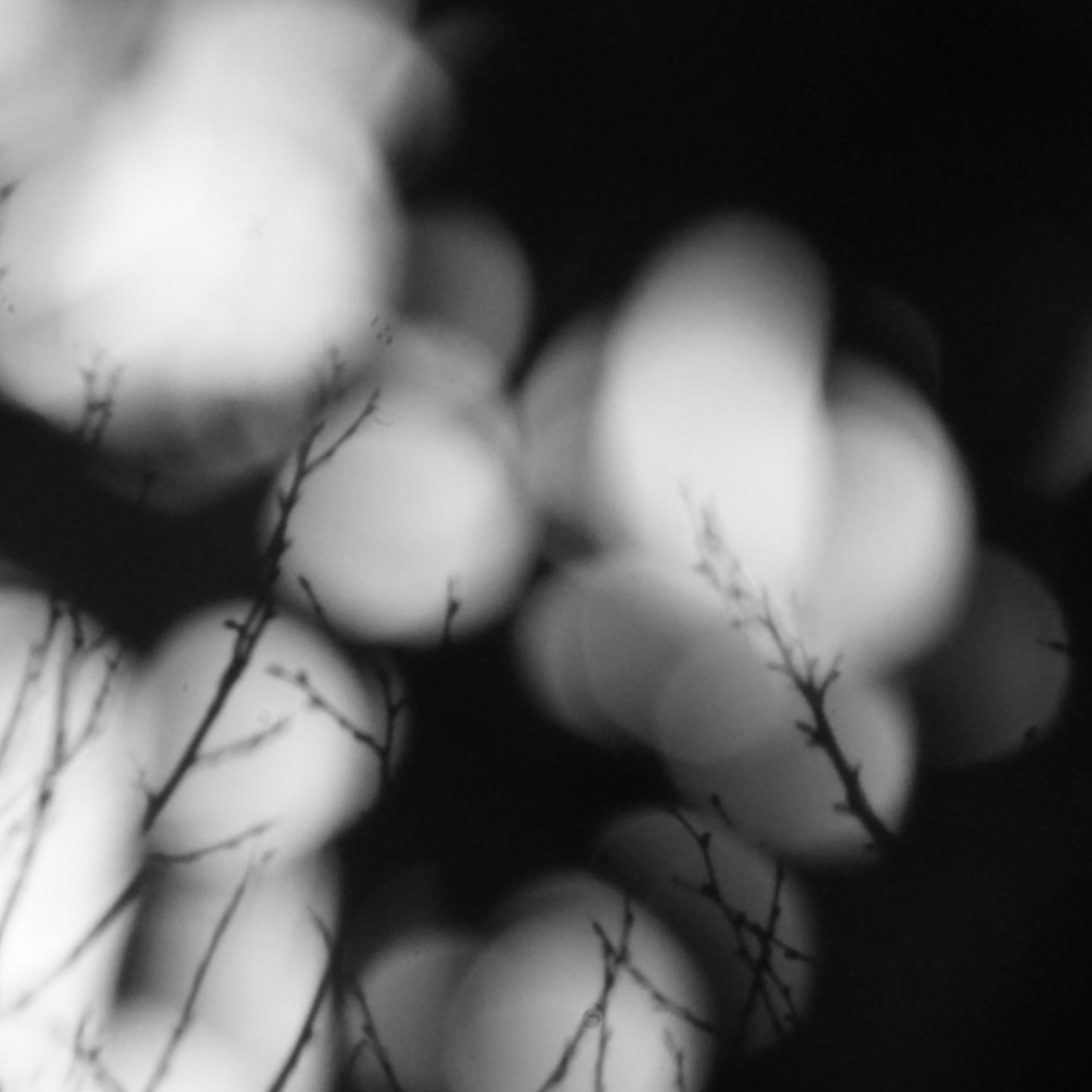 Silentium album cover