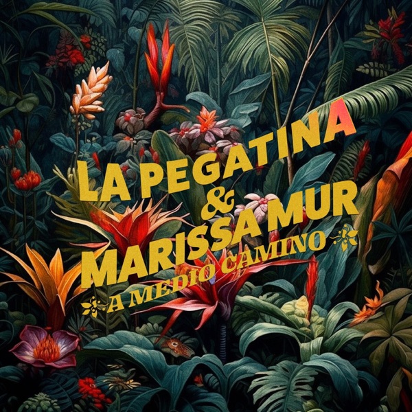 A medio camino - Single album cover