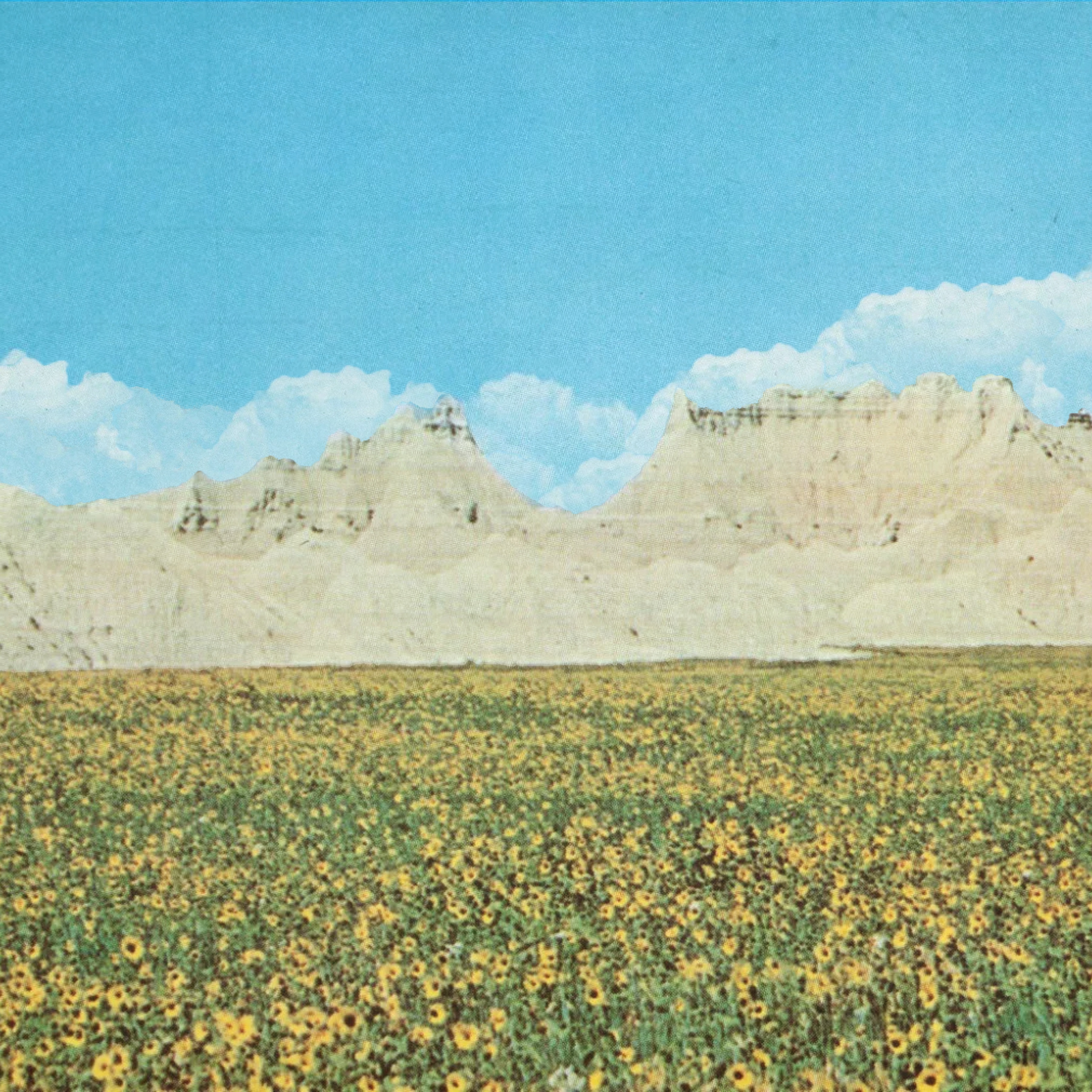 Dreams of a Sunflower River album cover