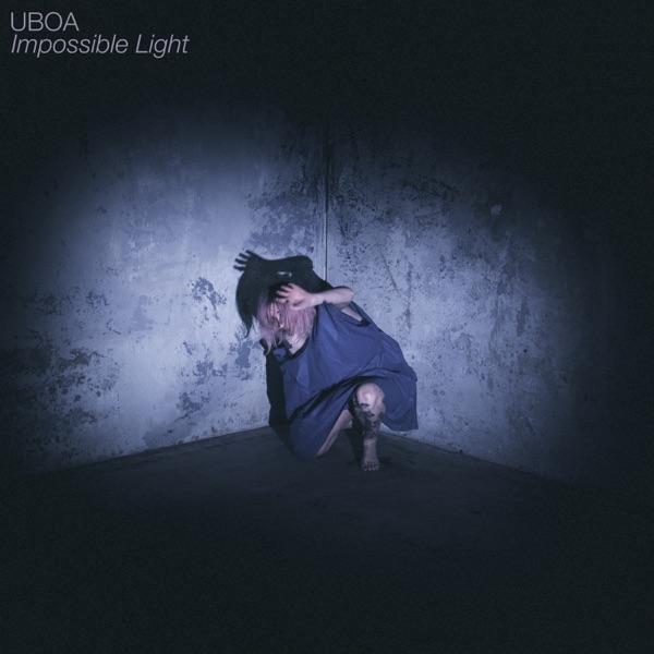 Impossible Light album cover