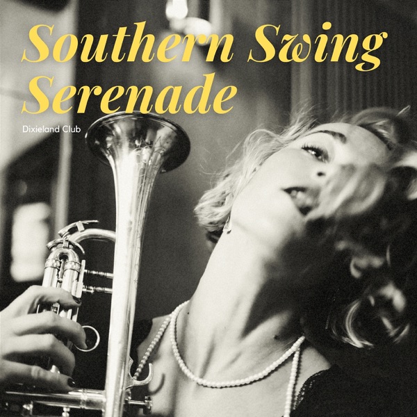 Southern Swing Serenade album cover