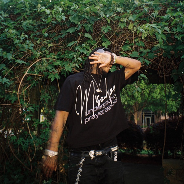 WISH THE WORST MAYHEM REMIX - Single album cover