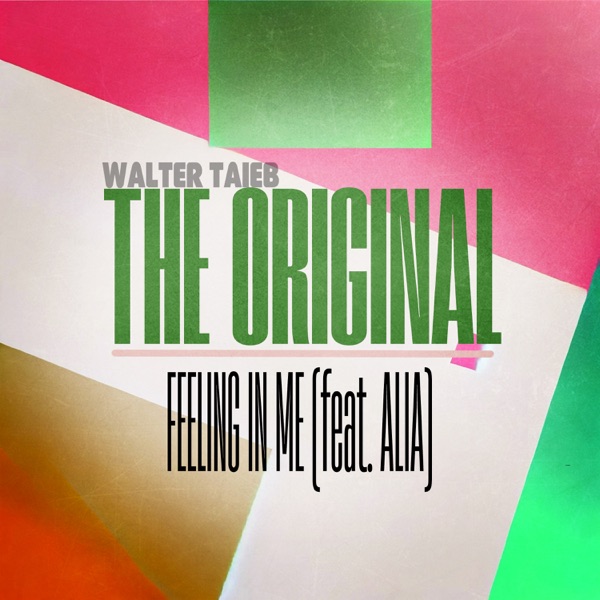 Feeling In Me (feat. ALIA) [Dub Mix] - Single album cover