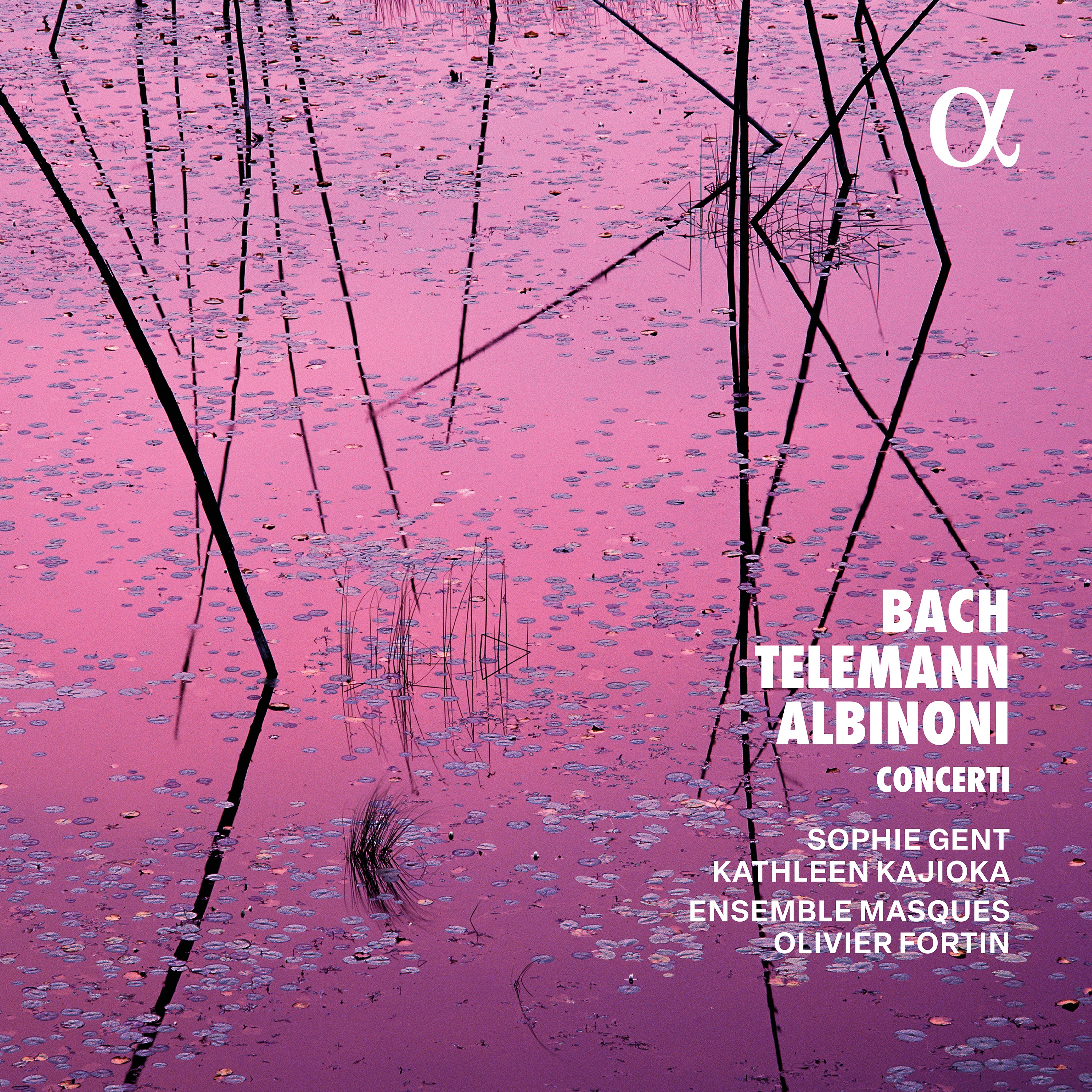 J. S. Bach, Telemann & Albinoni: Concerti album cover