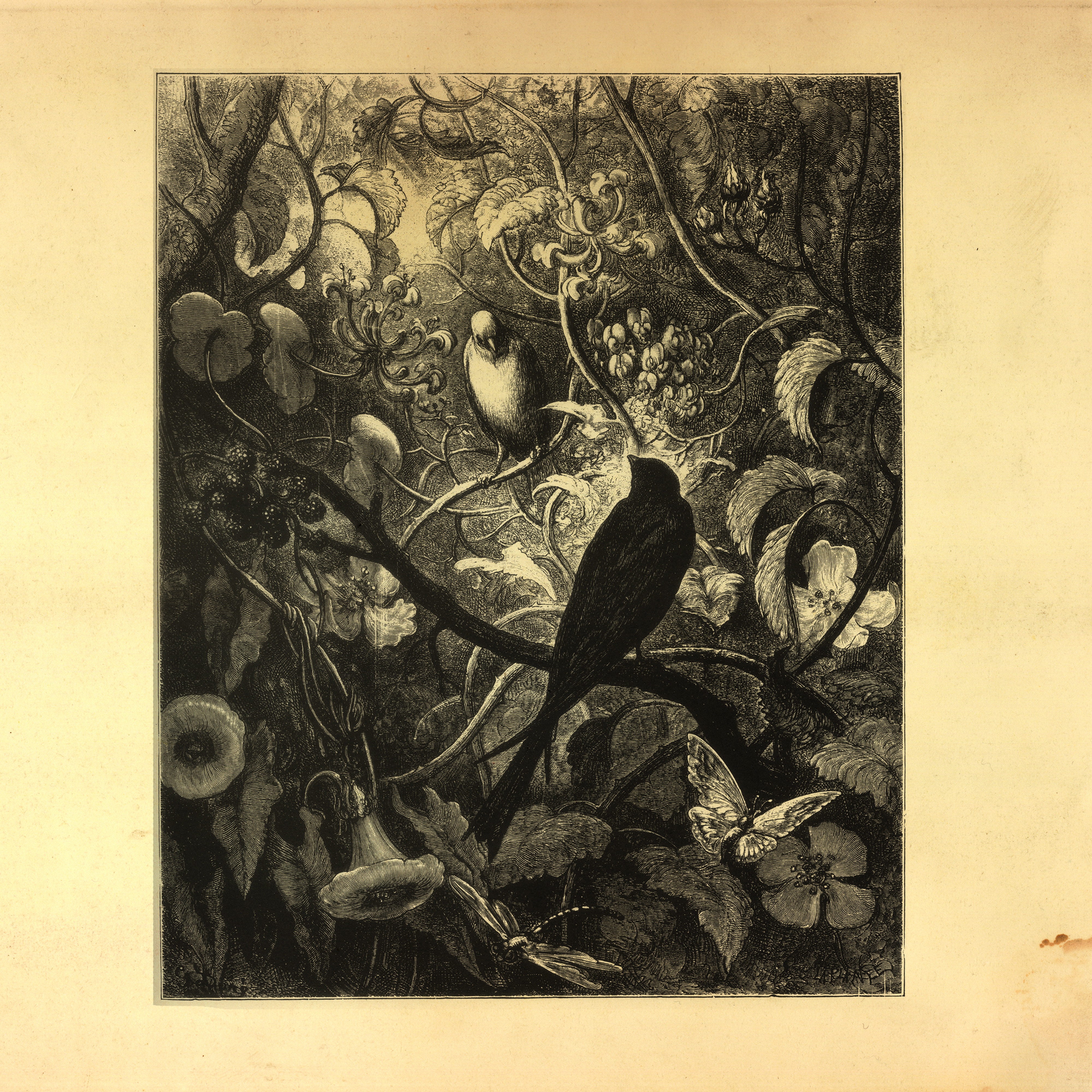 Synchronize - EP album cover