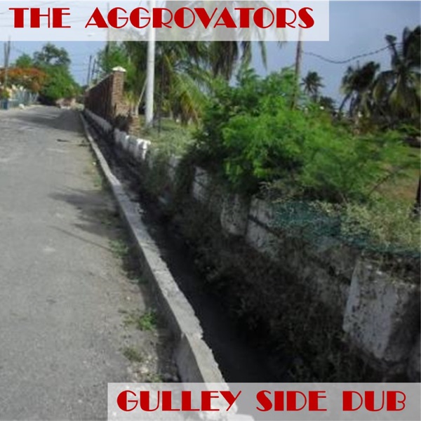 Gulley Side Dub album cover