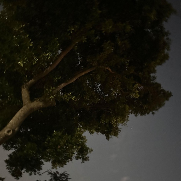 Stars (feat. Silo) - Single album cover