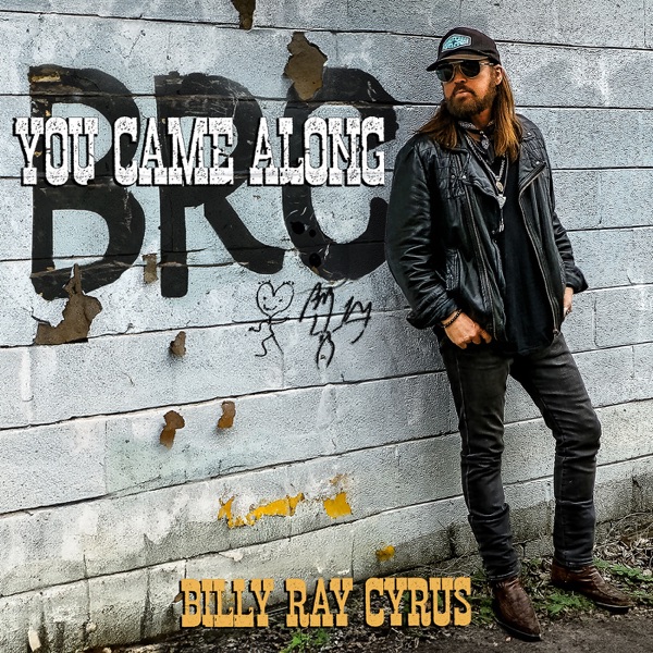 You Came Along - Single album cover