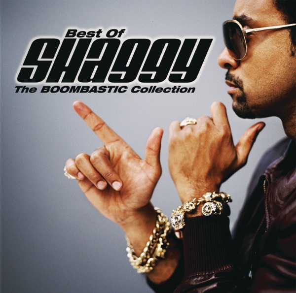 Best of Shaggy: The Boombastic Collection album cover
